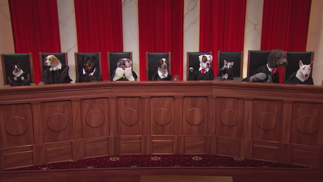 the supreme court, but with dogs